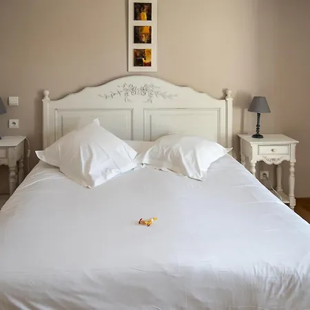 Hotel Tulip 3*