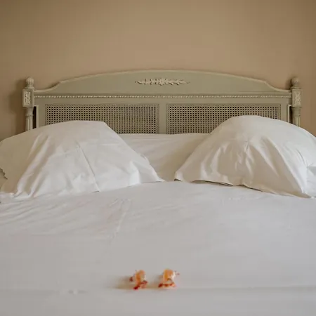 Tulip Hotel 3*