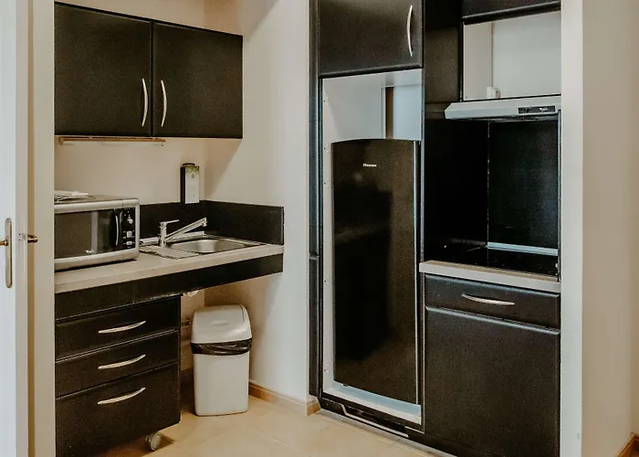 Tulip & 3* 翁弗勒尔